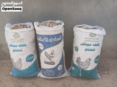 شولات نضيفه 3