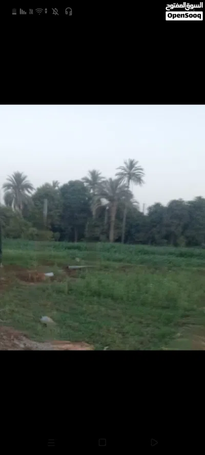 أرض متعددة الأغراض للبيع 3