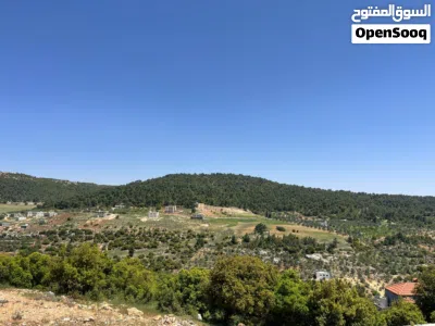في أجمل مناطق عجلون / عنجرة من المالك مباشرة فرصة ذهبية لامتلاك مزرعة أحلامك في قلب الطبيعة! 3