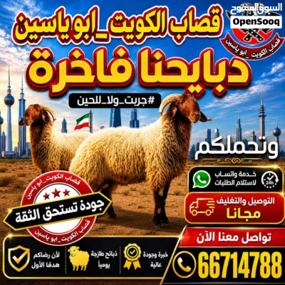 قصاب الكويت اغنام للبيع لجميع مناطق الكويت 2
