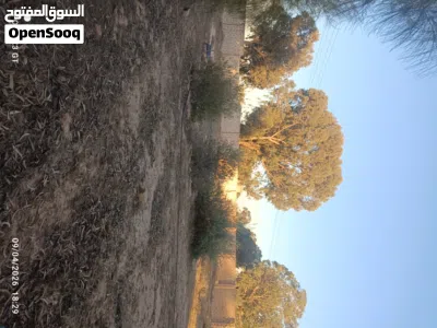 مزرعه للبيع 4