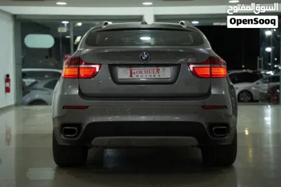 بي ام دبليو الفئة X6 Standard 3
