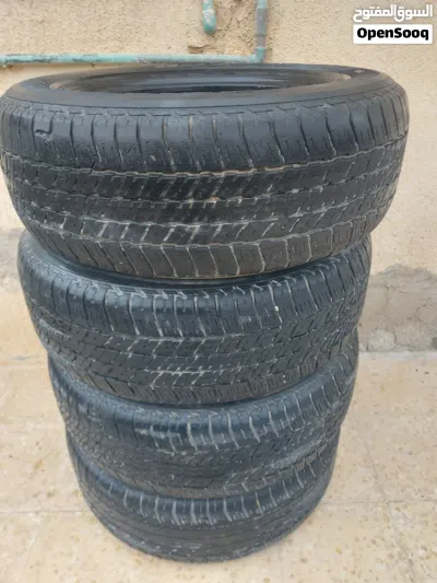 اربع فردات كوشوك بريجستون 18 2