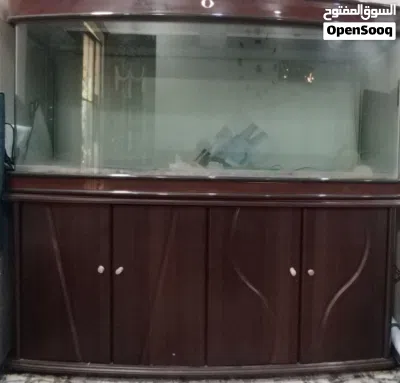 حوض سمك كبير 2