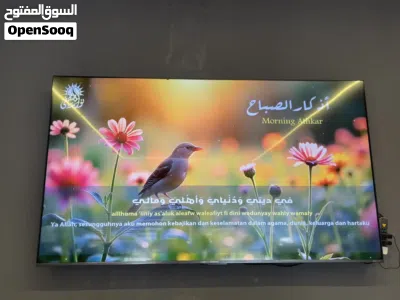 شاشه الحافظ للبيع 98 بوصه 2