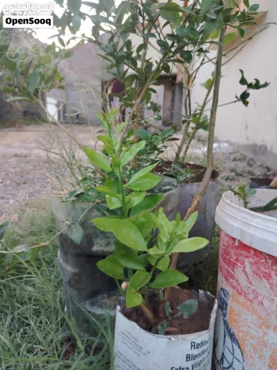 undefined 2