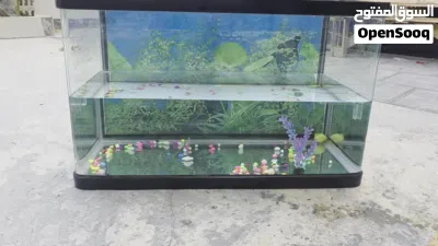 fish tank size 80+45 2