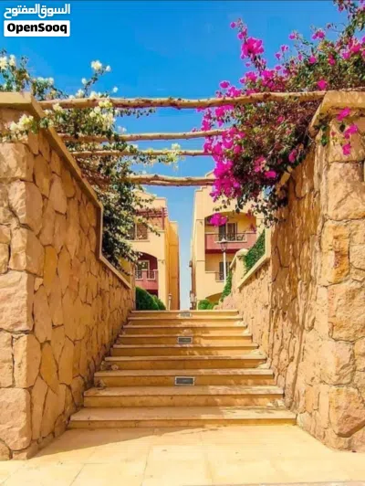 لاسيرينا العين السخنة 4