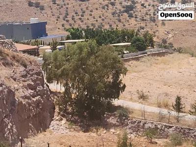 في أجمل مناطق ماحص ام الخال 3400م منطقة مزارع حديثة البناء مشغوله بشكل ممتاز ذات طابع ريفي قريبه 3