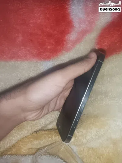 15 برو الصغير كفاله 2