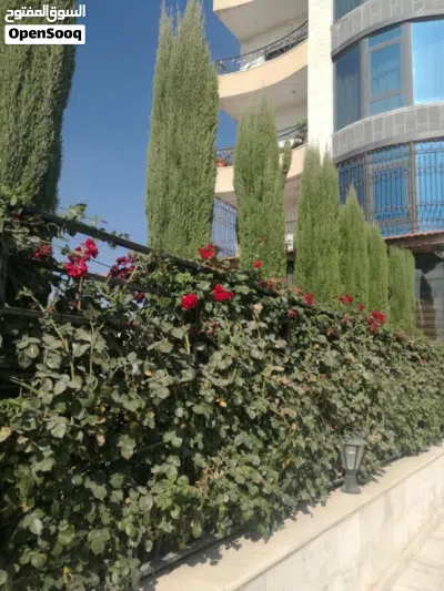شقه جميله للبيع 4