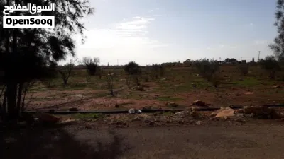 للبيع في موقع ممتاز جدآ غني عن التعريف هكتارين في سيدي فرج 3