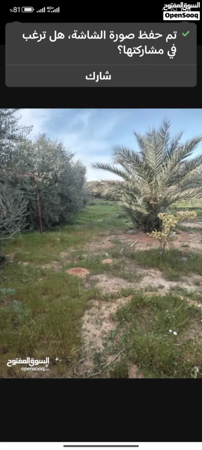 قمينس ربع هكتار عالرئيسي مبني تجاري محلات مسطح 330 والواجهه33 واستراحه مسقوف 170في قمينس 4