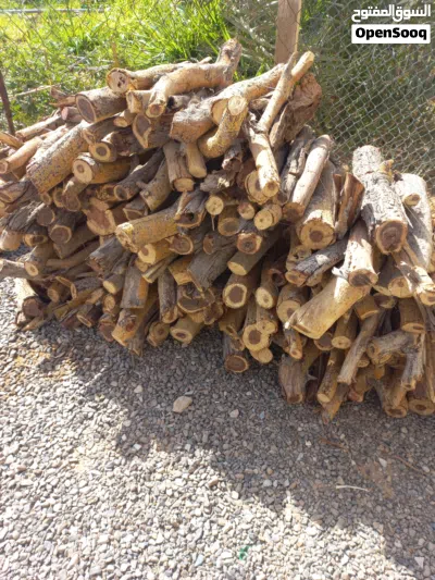 حطب سمر البريمي 2