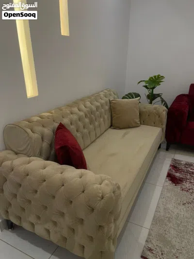 كنبات كبيتوني 3