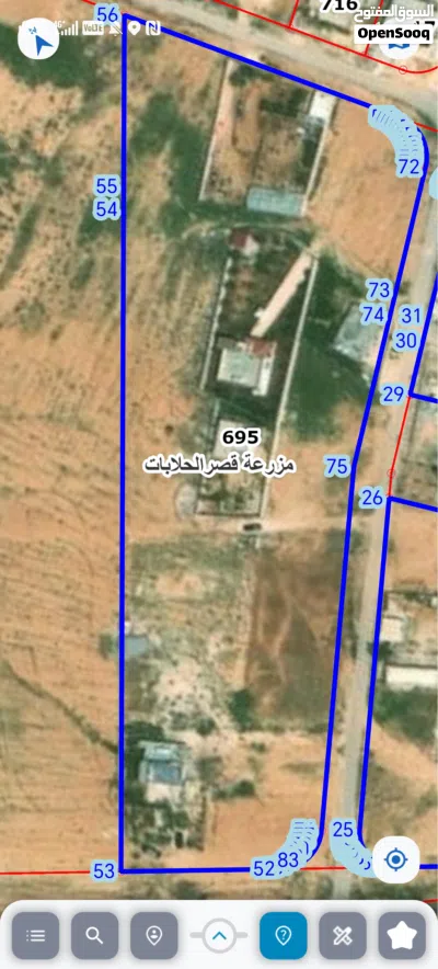 الضليل شارع الاسمنت الابيض 2