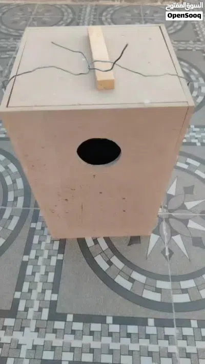 صندوق بغبغاء للبيع 2