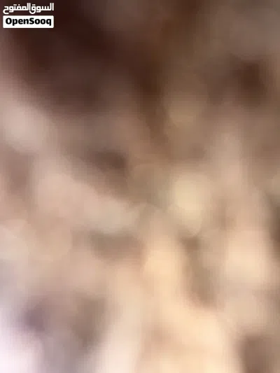 فرن على شارع عام ( شارع الصناعية نهايته) كامل من كلشي 3