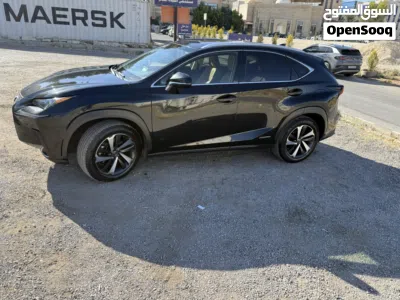 Lexus NX NX 300 4
