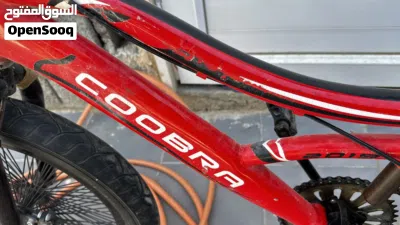 دراجة bmx كوبرا 2019 3