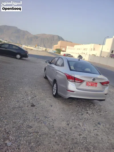 شانجان السفن Standard 2