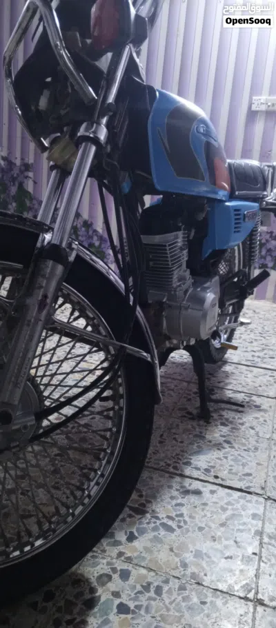 تايجر أخرى 4
