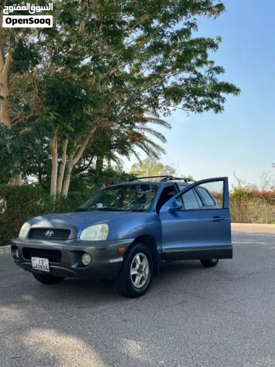 Hyundai Santa Fe Standard 2