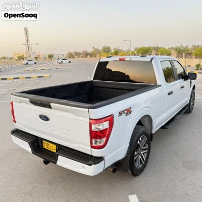 Ford F-150 Sport 4