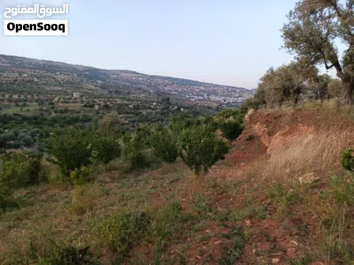 مزرعة في سوف من افضل مناطق و اطلالات سوف للتواصل والإستفسار:- مناور العتوم ابو رشاد 4