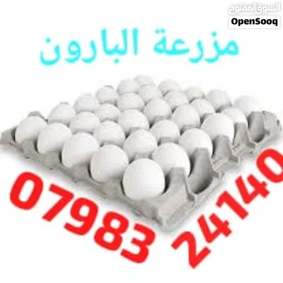 undefined 4