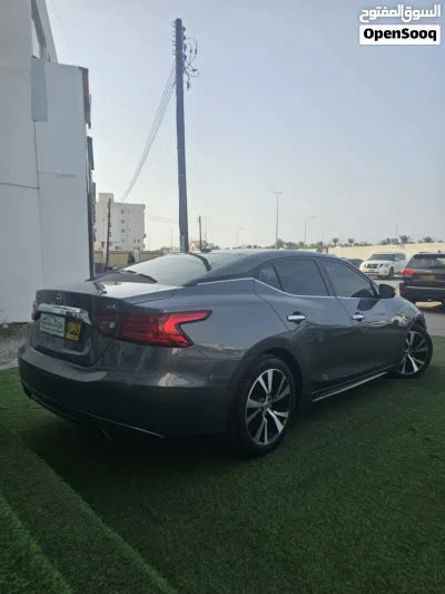 Nissan Maxima SV 4