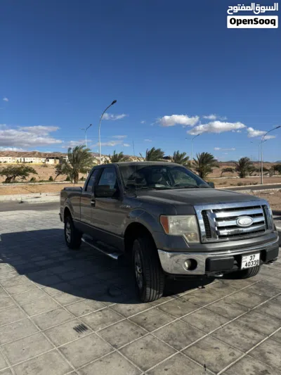 Ford F-150 Standard 3