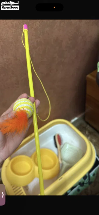 مستلزمات قطط للبيع 4