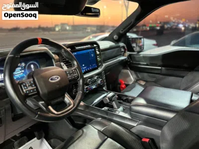 Ford F-150 Raptor 3