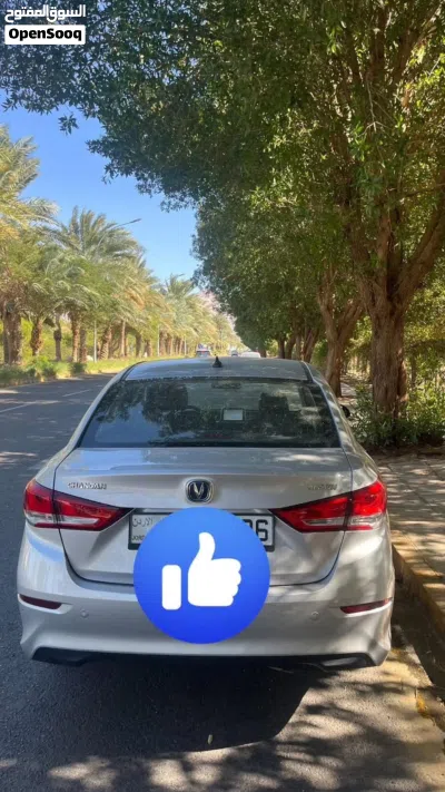 شانجان السفن Alsvin V7 Luxury 4