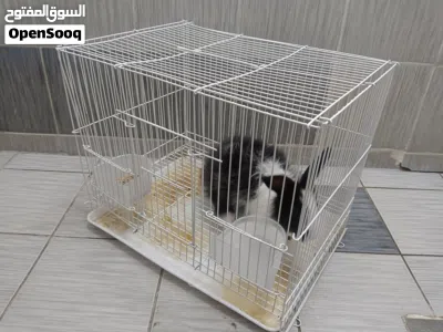 undefined 2