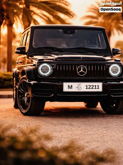 12211 fancy plate for sale 2