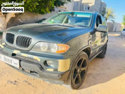 بي ام دبليو الفئة X5 Standard 3