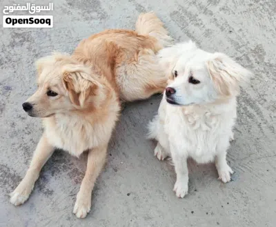 undefined 4
