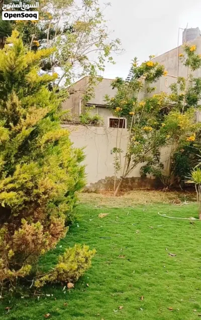إستراحة للبيع داخل سوق الجمعة عرادة بالقرب من جامع المية الحلوة على أرض 990 متر 2