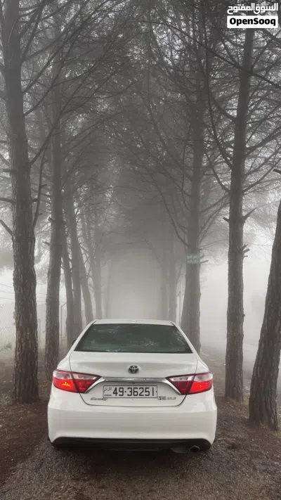 Toyota Camry XLE 2