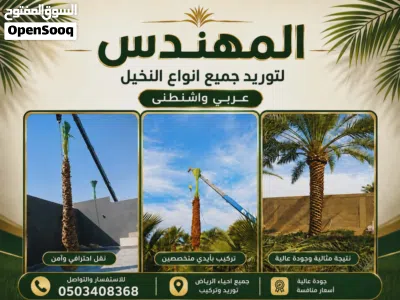 تنسيق حدائق 2