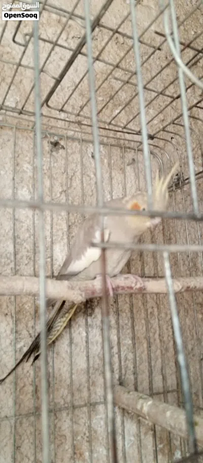 undefined 4