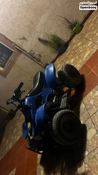 Suzuki Other 4