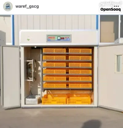 فرررصه ما تتكرر تصفية فقاسات بيض 2