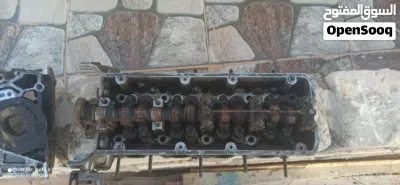 تستاته بوبه زيت 2