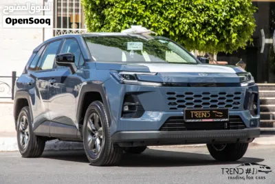 Toyota RAV 4 Standard 4