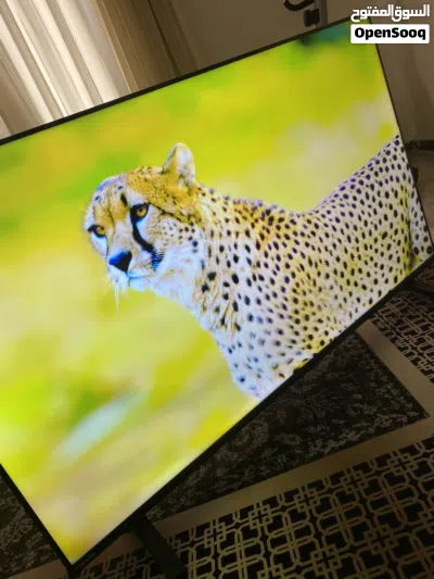 شاشة شارب 50 بوصة 2
