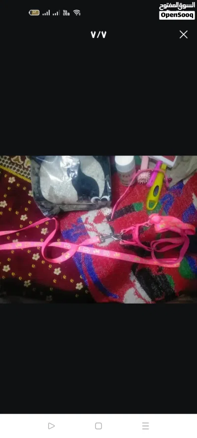 undefined 2