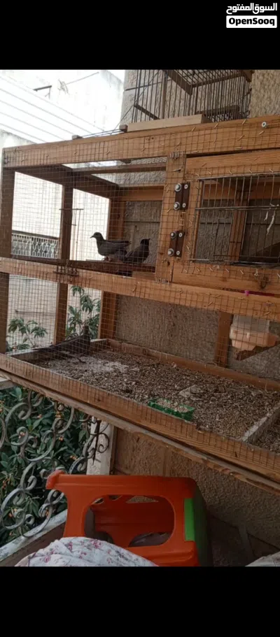 undefined 2
